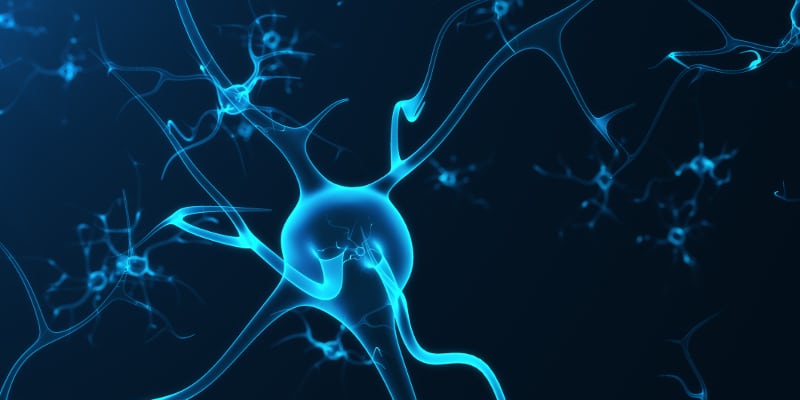 Understanding the 5 Different Types of Neuropathy