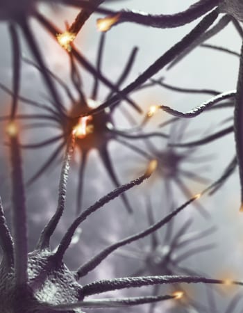 What Causes Nerve Damage and What to Do if You Have It